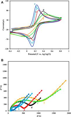 A Sandwich-Type Electrochemical Immunosensor Using Antibody-Conjugated Pt-Doped CdTe QDs as Enzyme-Free Labels for Sensitive HER2 Detection Based on a Magnetic Framework